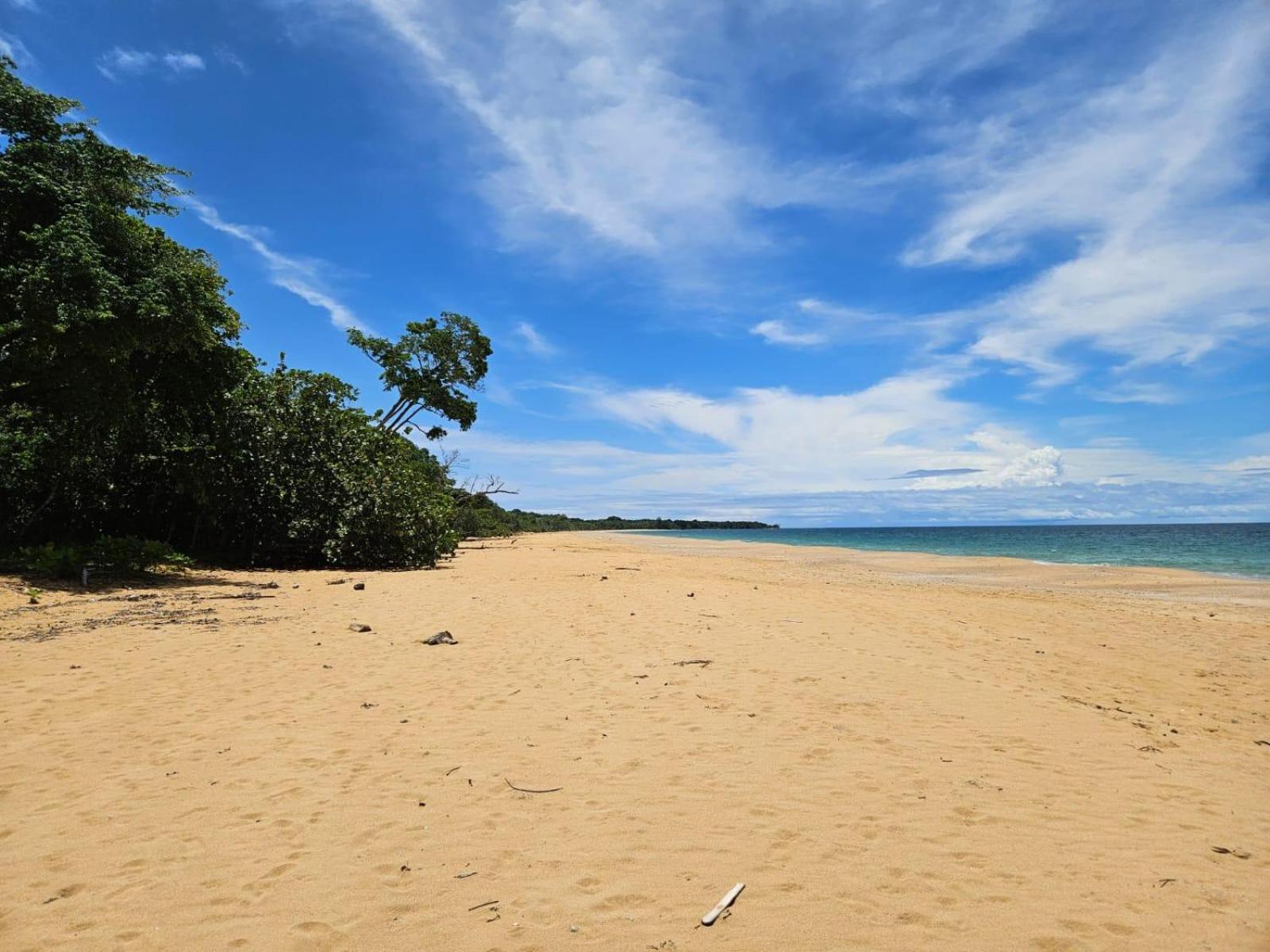 S Boutique Hotel Bocas Town Bagian luar foto